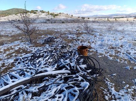 Twenty'den Çal Aşağıseyit'de 35 Dönüm Ceviz Bahçesi