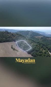 Mayadan Gayrimenkul'den Gönen Çobanhamidiye'de 6500 M2 Satılık Tarla