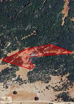 Gençağa Emlak'tan Satılık Tarla