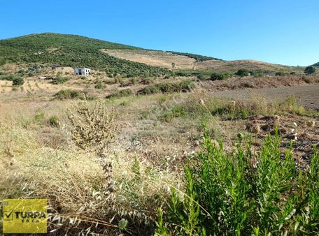 Turpa Eren Den Satılık Tarla