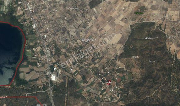 Rota'dan Zeytinalanı'nda 5030m² Tek Tapu Tarla Ve 300m² Dubleks 4+1 Yapı