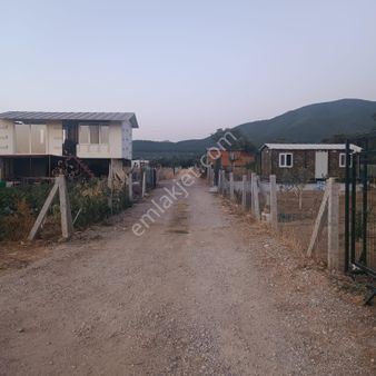 Karaot Köyünde 205’m2 3 Adet Tarla