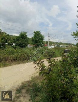 Bilecik Merkez Bağevi Ve Bahçesi