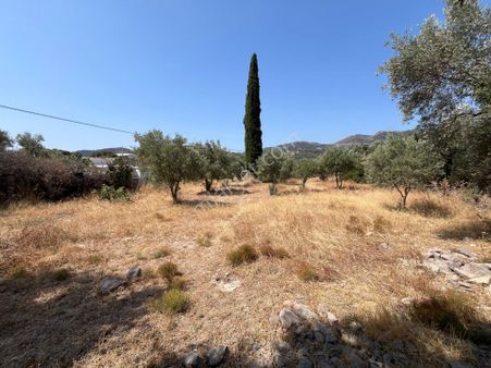 Bodrum Ortakent'te Satılık Tarla