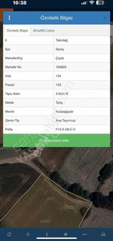 Yaşam'dan Saray Çayla'da Köy Dibinde 298m2 Hisse