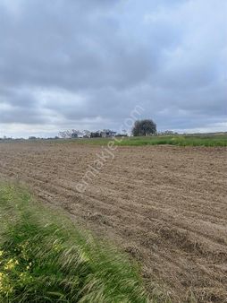Kapaklı İkitelli Bölgesine Yakın Uygun Tarla