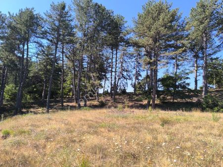 Kemaliyede, 60 M Yol Cepheli, 3.080 M² Verimli Tarım Arazisi