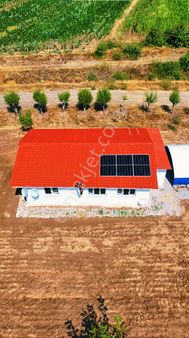 Şahin Büke Emlaktan Denizli Acıpayam Dodurga Mah. Satılık 6.156m² Ceviz Bahçesi