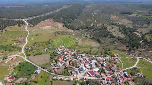 Çanakkale Ezine'de Köye 200 Metre İmara Sınır Tarla