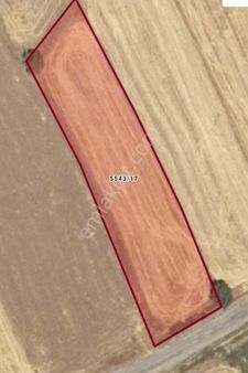 Fatma Ülken Gayrimenkul Den Kocasinan Kizik Da 2730 M2 Niteliği Tarla Satılıktır