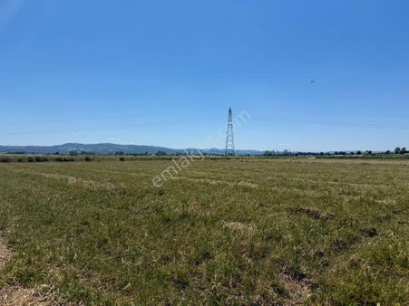 Çanakkale Biga'da Köye 600 M, Üniversiteye 2 Km Yatırım Fırsatı