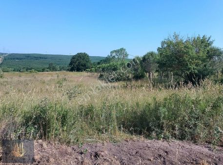 Dostum Gayrimenkul'den Binkılıç Dırgaz Caddesinde Tek Tapu Tarla