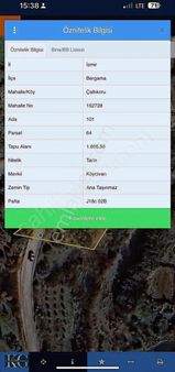 Bergamaya Yakın Çaltıkoru Köyü Satılık Zeytinlik