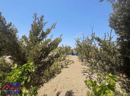 Eskişehir Yolu Yakınında Tek Tapulu Fırsat Tarla