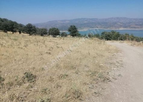 Göl Manzaralı Yatırımlık 28000 M² Tarla