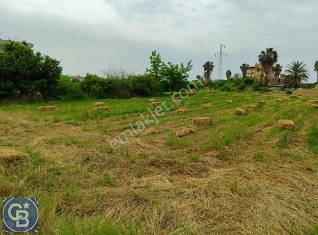 A. Işıklarda Satılık 1.607 M2 Arazi