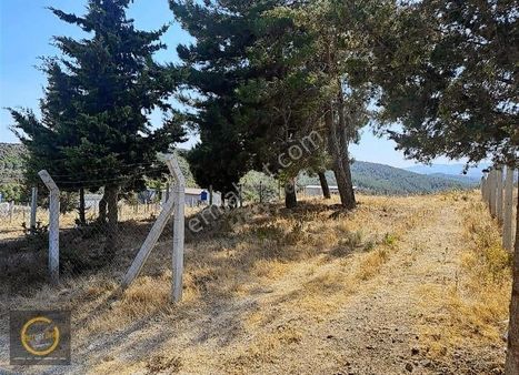 Menderes Görecede Hisse Tapulu Resmi Yolu Açık Tarla