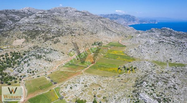 Winner- Taşlıca'da Yola Sıfır+ M2 Fiyatı Çok Uygun+ Fırsat Tarla