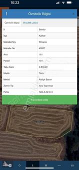 Burdu Elmacık 'ta Uygun Fiyata Tarla