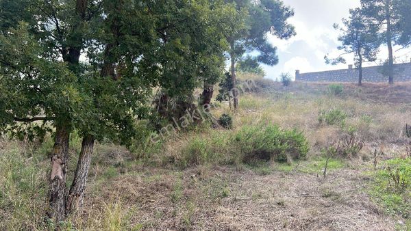 Kemal Emlak'tan Ayvagediği Çapar'da Konut İmarlı Satılık Arsa