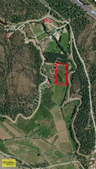 Muğla Köyceğiz Döğüşbelen De 15.164 M2 Satılık Tarla