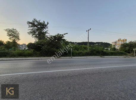 Ayazlı Mahallesinde Korgan Kumru Yolu Üzerinde Arsa