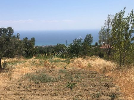 Şarköy De Işık Emlaktan Yukarıkalamış Mah De 1450 M2 0/75 İmarlı Arsa