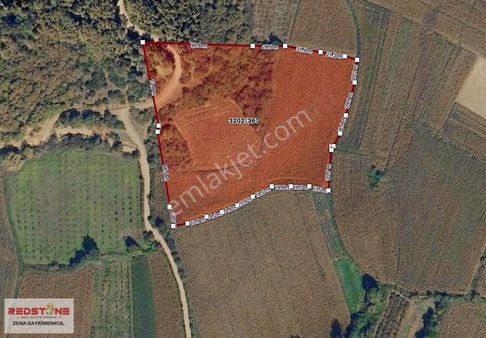 Hendek Tuzak 22 Dönüm Muhteşem Manzaralı Arazi