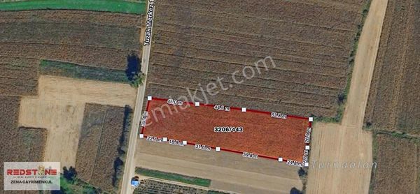  Sakarya Hendek Tuzak Mahallesinde Yola Cephe Satılık Tarla!