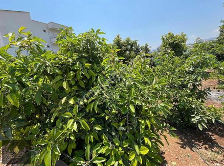 King'den Kösbucağı'nda Tam Fırsat Yatırımlık Arsa