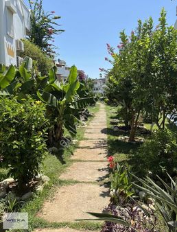 Wexa Property Den Avsallarda Denize 50 Metre Villa