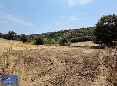 Atakum Büyükoyumca Da Fırsat Satılık Arsa