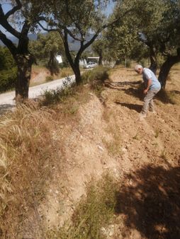 Torbalı Emlak'tan Çakırbeyli Köyünde Yolu Olan 5257m2 Zeytiliğimiz Satılıktır