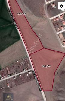 Beyceğiz'de Yol Kenarı Tarla