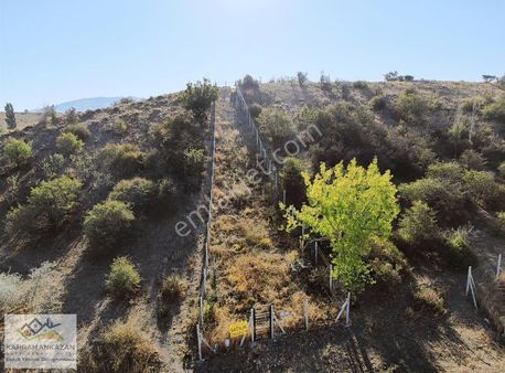 K.kazan Gyo'dan Ahi Mah. Etrafı Telli 360m2 Satılık Tarla