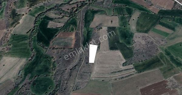 K.kazan Gyo'dan Aşağıkaraören'de 2513 M2 Yolu Mevcut Tarla