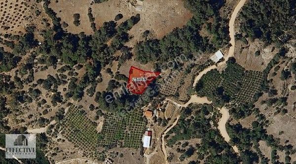 Kaş Kemer Köyünde Müstakil Tapulu Satılık 1356 M² Tarla Ref536