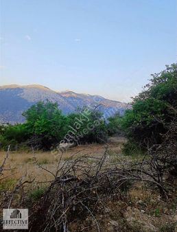 Kaş Kemer Köyünde Müstakil Tapulu 3410 M² Tarla Ref537