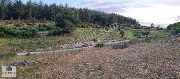 Manavgat Taşağıl'da Müstakil Tapulu Satılık 10.011m² Arsa Ref539