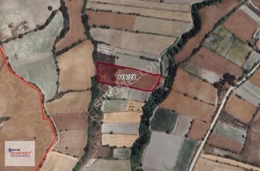 Ovabayındır Köyü 5.733 M² Tek Tapu Tarla Ardıçlık Ve Bozburun