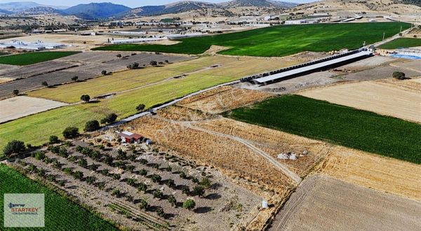 Startkey Yön Köselerde Merkeze Yakın Sondaj Ve Yolu Olan Tarla