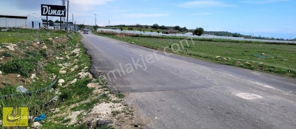 Bozön Da Satılık 34 Cadden Giden Bozön Yol Cepheli 9500 M2