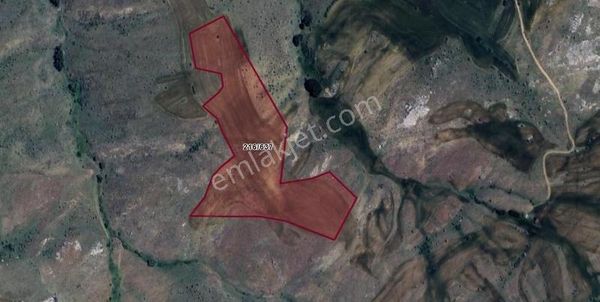 Odabaşında 5194 M2 Hisse