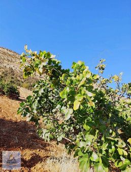 Aşağıçöplü Yola Cephe Bahçe