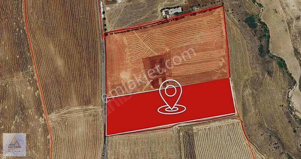 Çemberlitaş Satılık 17 Dönüm Tarla