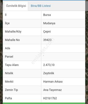 Ena Group Bursa Mudanya Çepni'de 2473 M2 Güzel Konumda Satılık Zeytinlik