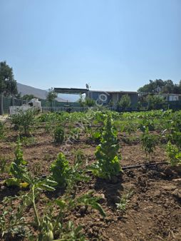 Egemen'den Helvacı'da Novada Avm Yakını 365,75 M2 Bahçe