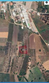 Ena Group Bursa Nilüfer Doğanköy'de 2360 M2 Satılık İmarlı Arsa