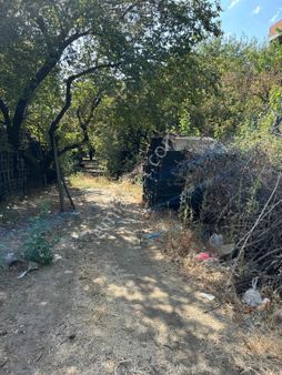 Nova'dan Turgutlar Mahallesinde 5 Kat İmara Uygun Arsa