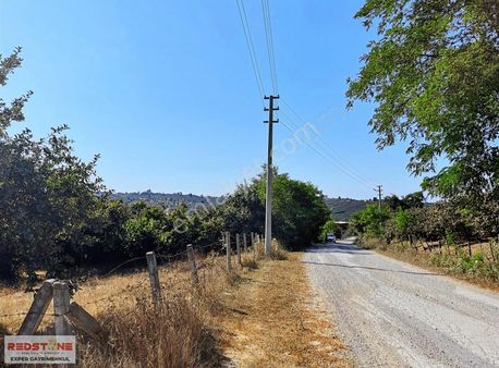 Yatırımlık 9626m² Fındık Bahçesi Köşe Parsel-asfalt Yola Cephe